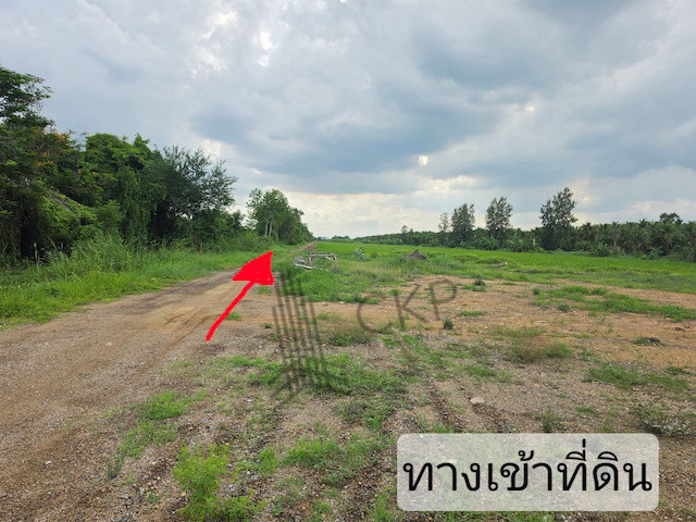 ขาย ที่ดินเปล่า ขนาด 2 ไร่ 259 ตร.วา เหมาะสำหรับทำการเกษตร ปลูกบ้านพักอาศัย โกดังจัดสรร | 93359