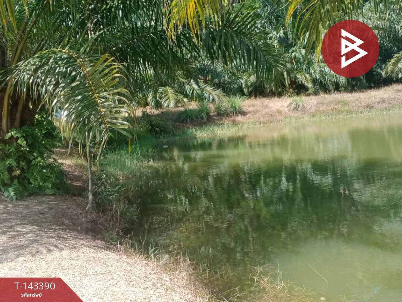 Land for sale, area 4 rai 72 sq m, Koh Lanta, Krabi. – รูปที่ 2