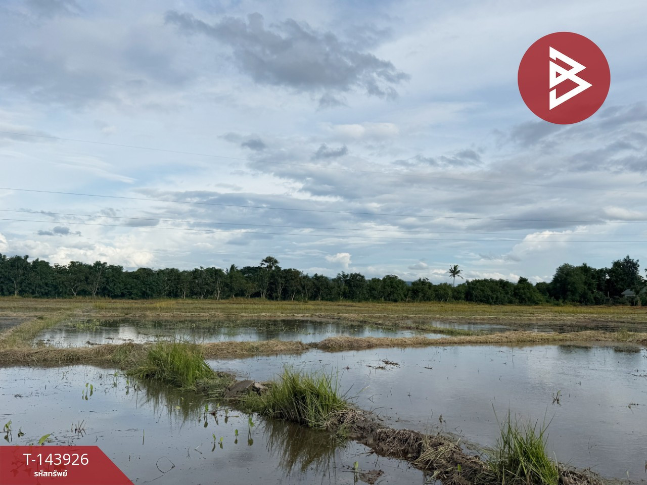 Land for sale, area 6 rai 70 sq m, Ban Paen, Lamphun. – รูปที่ 2