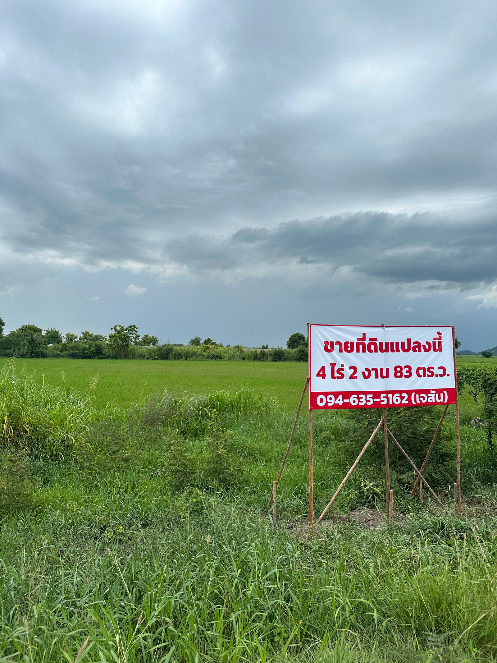 ขาย ที่ดิน ติดถนน เดิมบาง จ.สุพรรณบุรี ขาย ที่ดิน ติดถนน เดิมบาง จ.สุพรรณบุรี