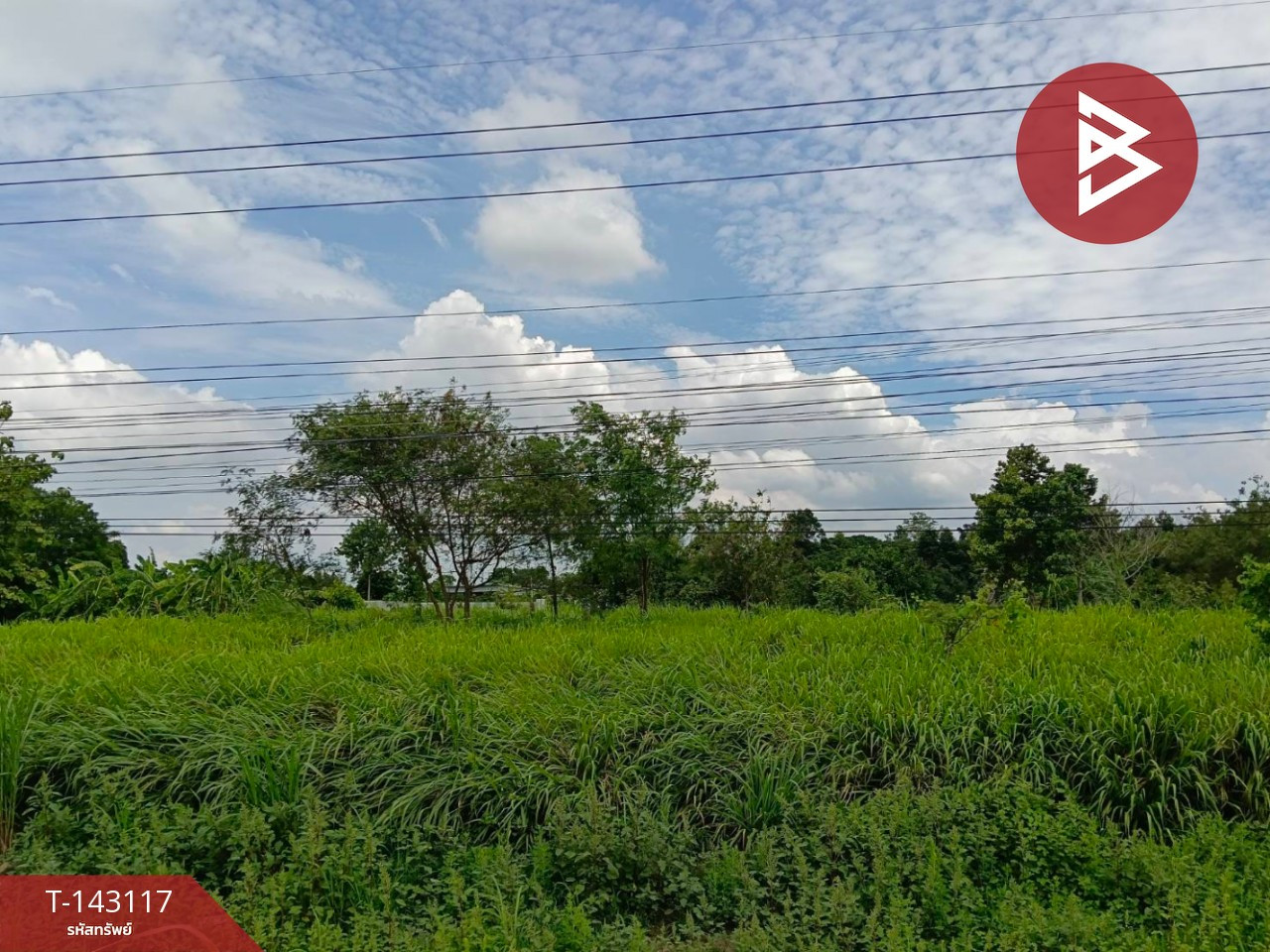 Land for sale, area 1 rai 36 sq m, Bang Rakam, Phitsanulok Land for sale, area 1 rai 36 sq m, Bang Rakam, Phitsanulok