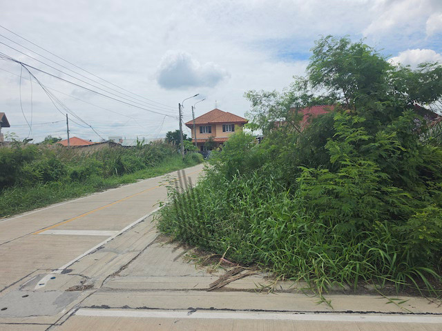 ให้เช่า ที่ดินเปล่า หัวมุม ขนาด 180 ตร.วา ติดถนนสองด้าน เหมาะสำหรับทำโกดังหรือ ร้านอาหาร คาเฟ่ | 93383 – รูปที่ 2