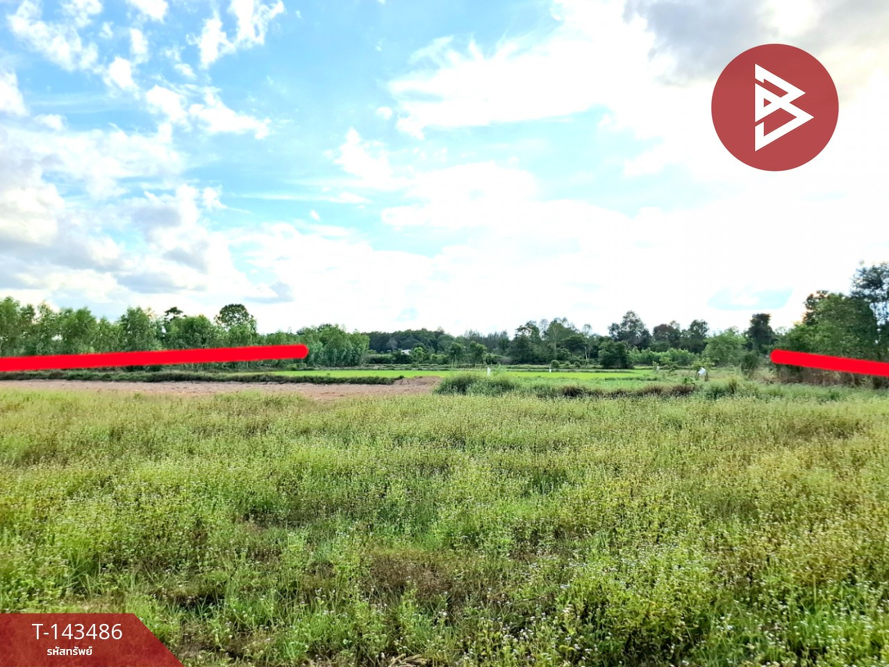 ขายที่ดิน เนื้อที่ 8 ไร่ 3 งาน 68.5 ตร.วา โพนทอง ร้อยเอ็ด – รูปที่ 4