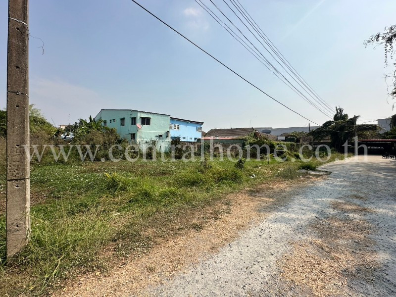 ที่ดินเปล่า ซอยไผ่เตย 1 แปลงริม หลังบิ๊กซี ห้วยจรเข้ - นครปฐม – รูปที่ 4