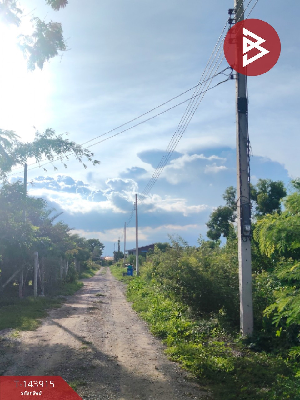ขายที่ดิน เนื้อที่ 1 งาน ไทรน้อย นนทบุรี – รูปที่ 2