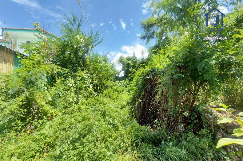 Land for sale 133 sq m, Sridan 22 Road, Srinakarin Road. Near the Yellow Line – รูปที่ 4