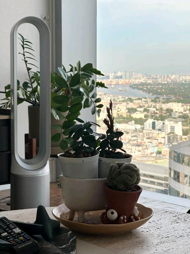 The Ritz-Carlton Residences