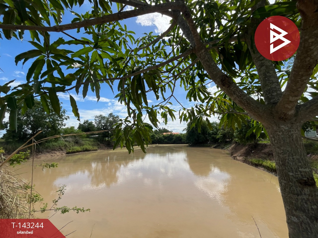 Land for sale, area 17 rai 2 ngan 36 sq m, Khanu Woralaksaburi, Kamphaeng Phet. – รูปที่ 2