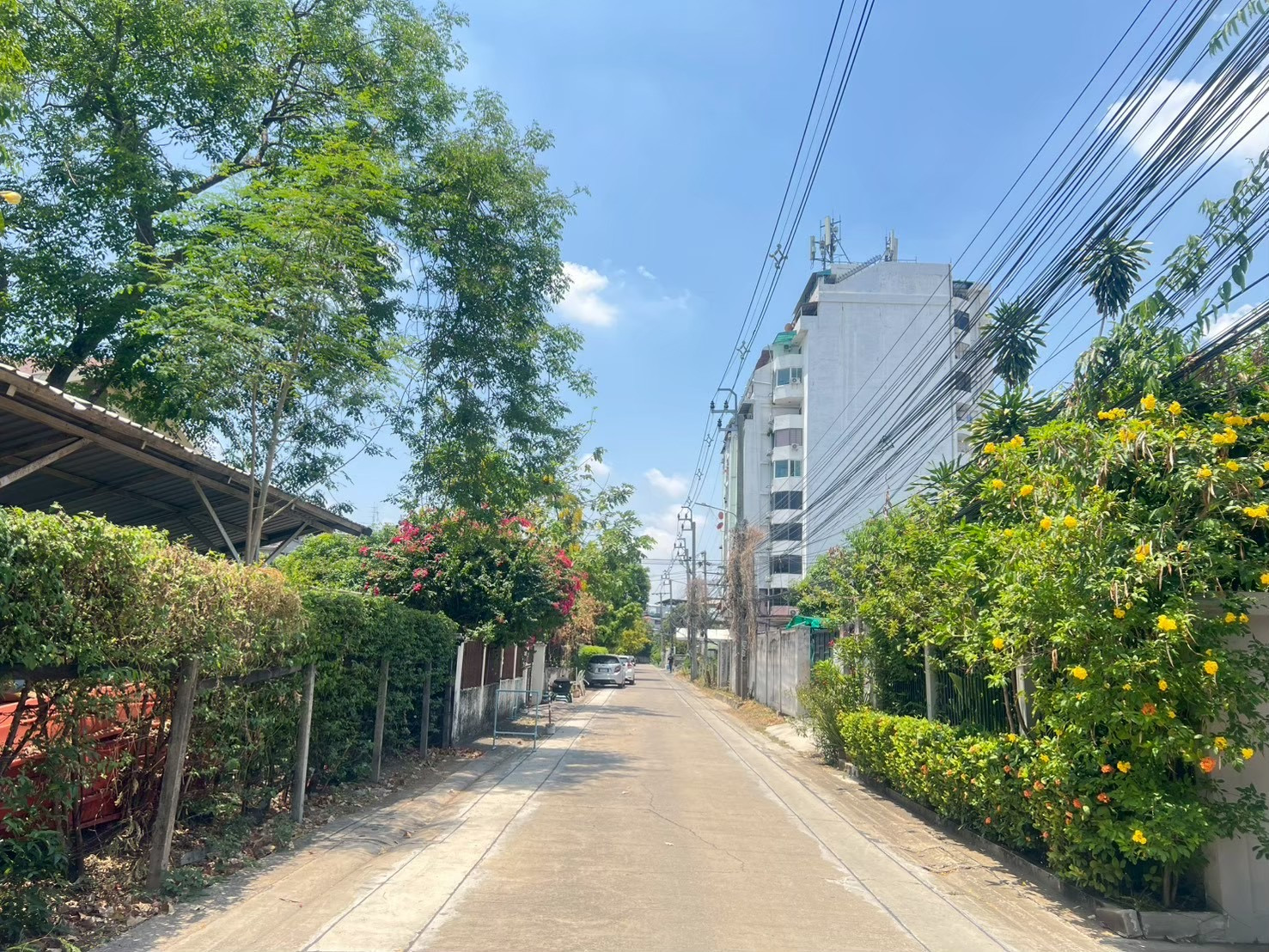 📌ขายด่วน ฎารัตน์ คอนโดทาวน์ งามวงศ์วาน25 นนทบุรี📌  (ซอยงามวงศ์วาน25แยก23) ชั้น 10 ระเบียงทิศเหนือ วิวโล่ง เงียบสงบ บรรยากาศดี กู้ได้ 💯 % – รูปที่ 2