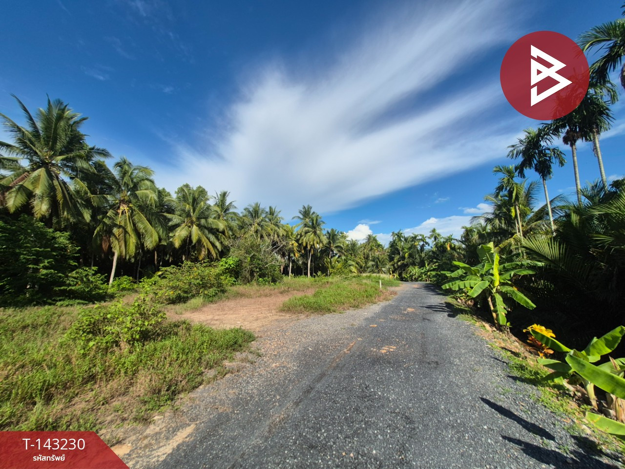 Land for sale, area 1 rai 1 ngan, Bang Bai Mai, Surat Thani. – รูปที่ 4