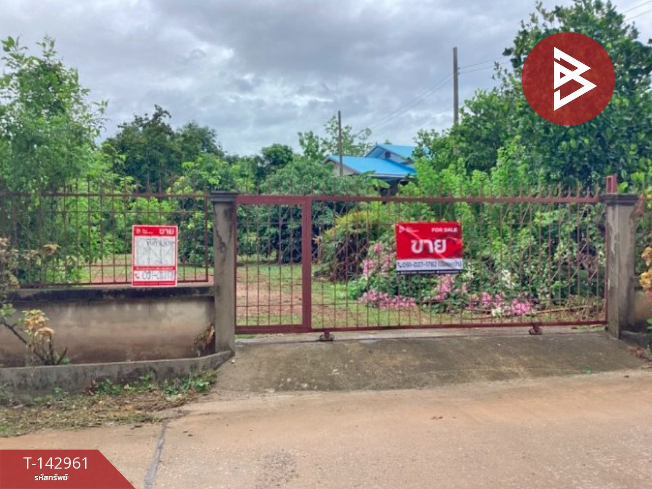 Land for sale, area 1 ngan 91 sq m, Ngio Ngam, Uttaradit. Land for sale, area 1 ngan 91 sq m, Ngio Ngam, Uttaradit.