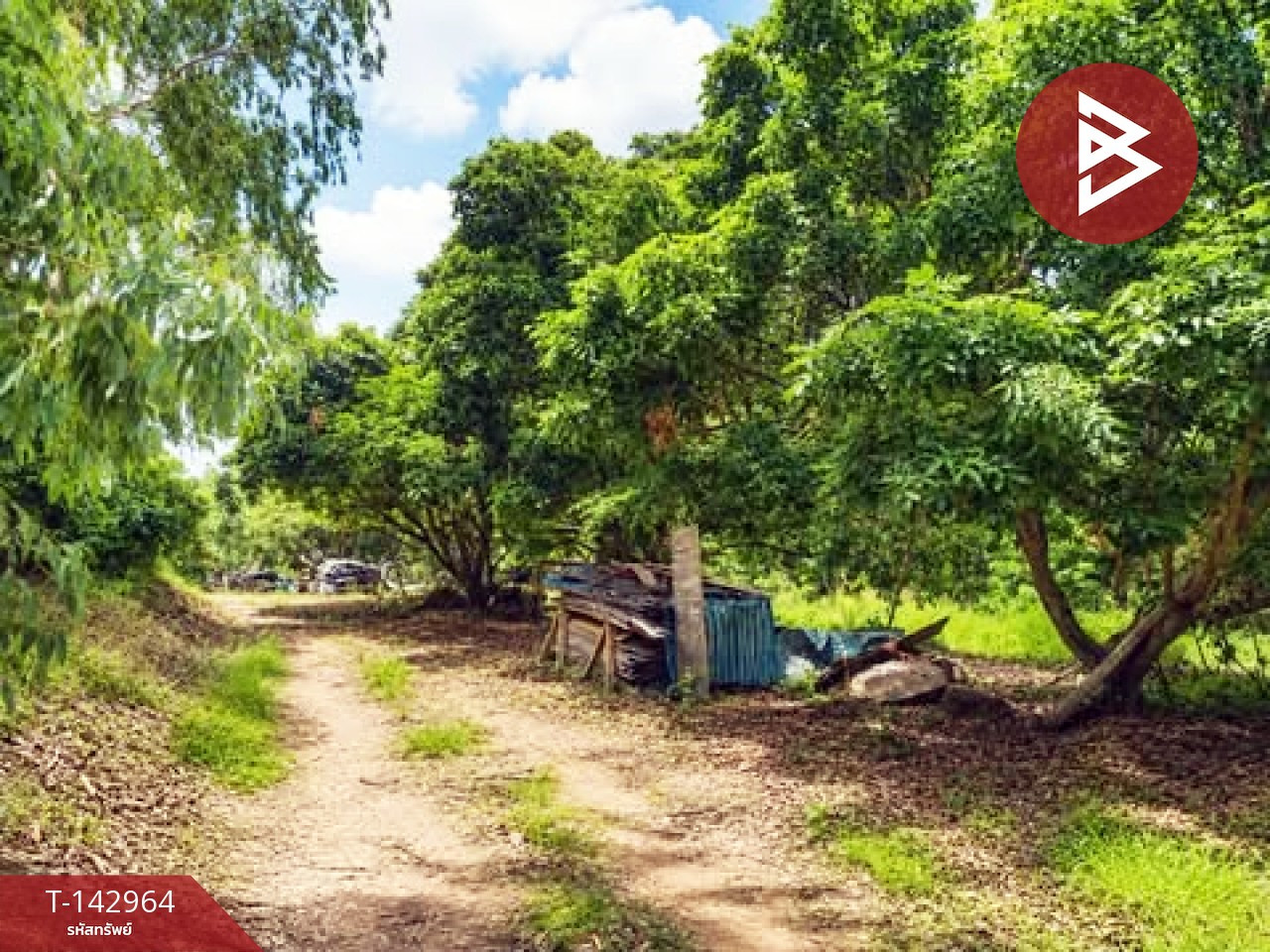 Land for sale, area 35 rai 2 ngan 93.9 sq m, Soi Dao, Chanthaburi. – รูปที่ 3