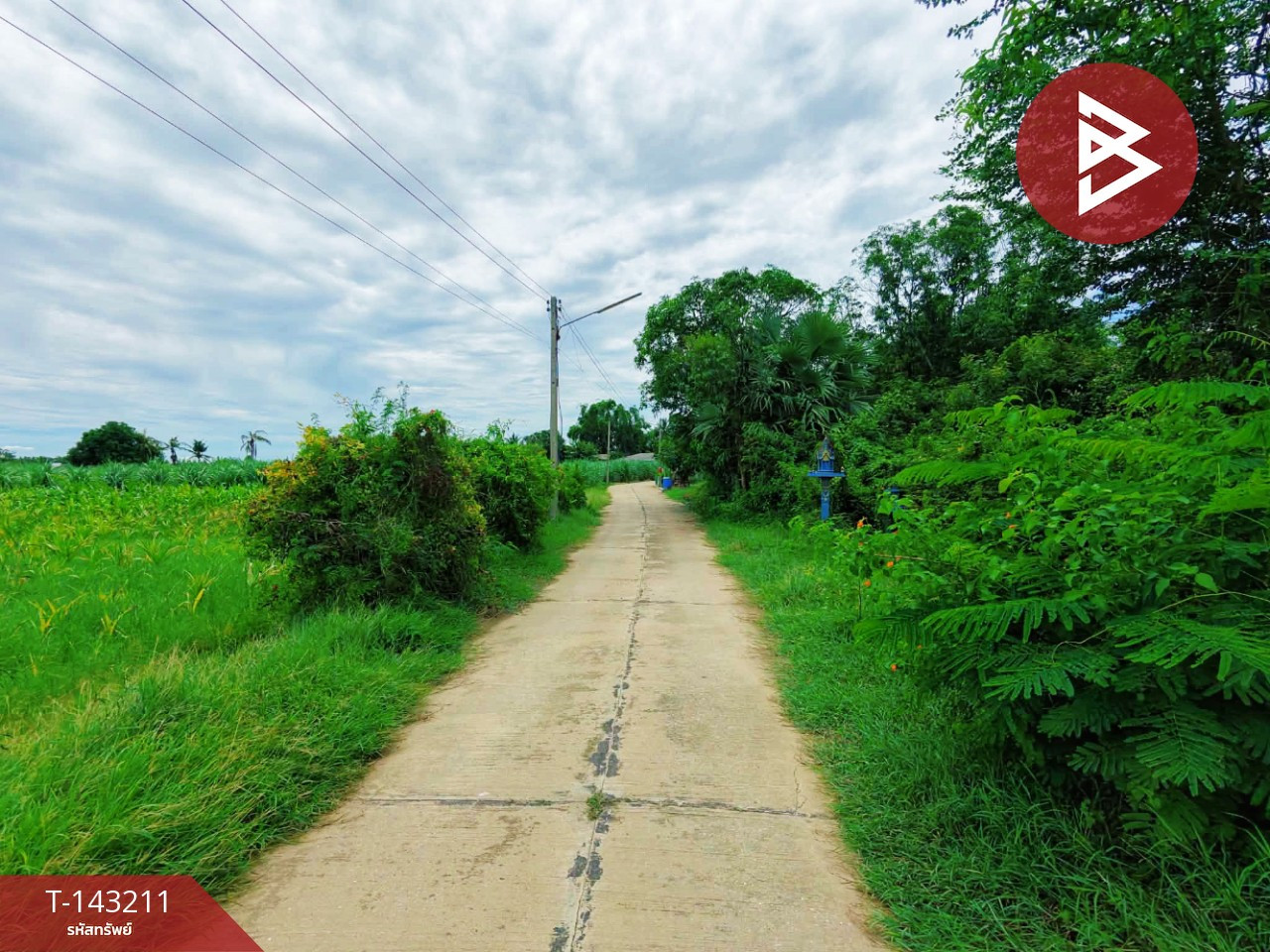 ขายที่ดิน เนื้อที่ 95 ตร.วา ท่ามะกา กาญจนบุรี – รูปที่ 4