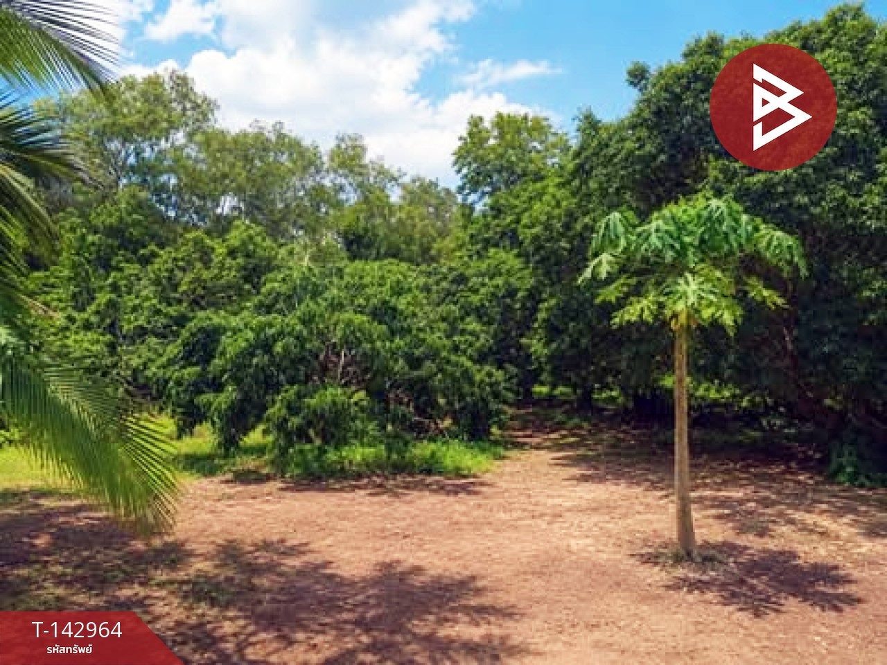 Land for sale, area 35 rai 2 ngan 93.9 sq m, Soi Dao, Chanthaburi. – รูปที่ 4