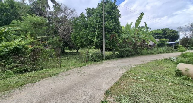 Land for sale, over 1 rai, San Sai Subdistrict, Mueang Chiang Rai, already filled, free transfer, suitable for building a house and a resort. Land for sale, over 1 rai, San Sai Subdistrict, Mueang Chiang Rai, already filled, free transfer, suitable for building a house and a resort.