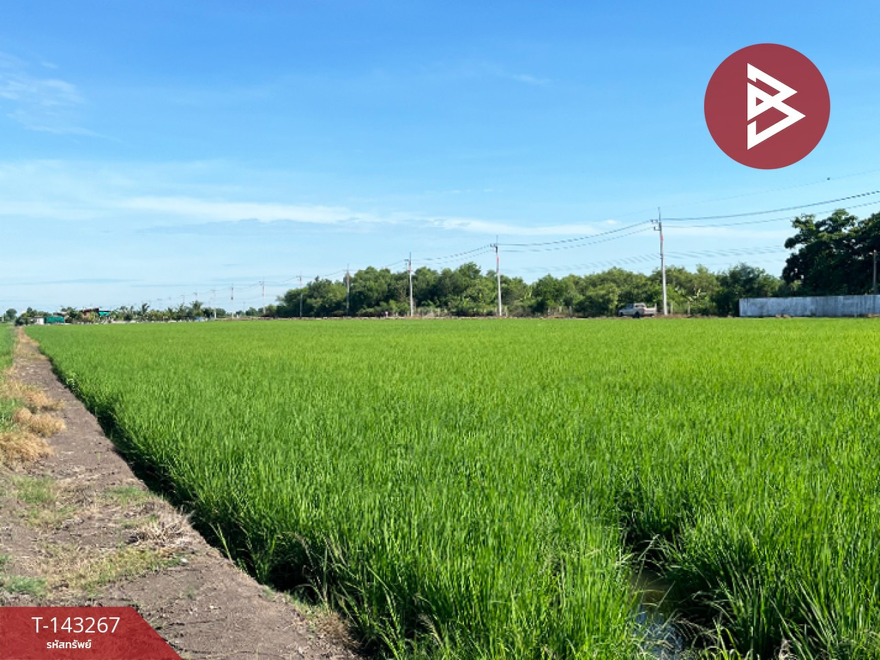 ขายที่ดิน เนื้อที่ 7 ไร่ 2 งาน 91 ตร.วา คลองอุดมชลจร ฉะเชิงเทรา – รูปที่ 3
