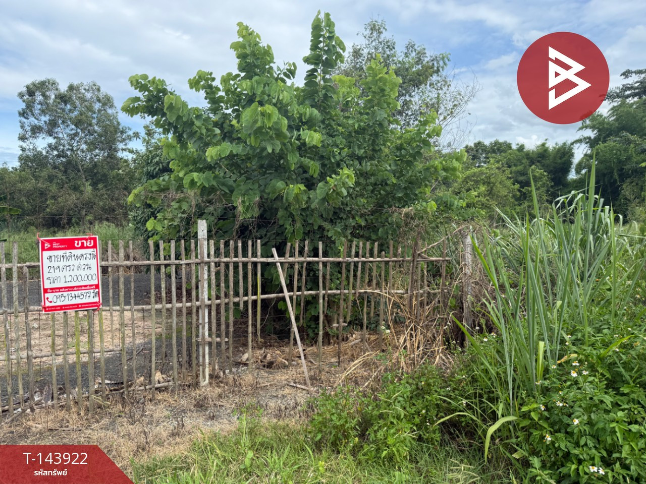 Land for sale, area 2 ngan, 19.7 sq m, San Pa Tong, Chiang Mai. – รูปที่ 4