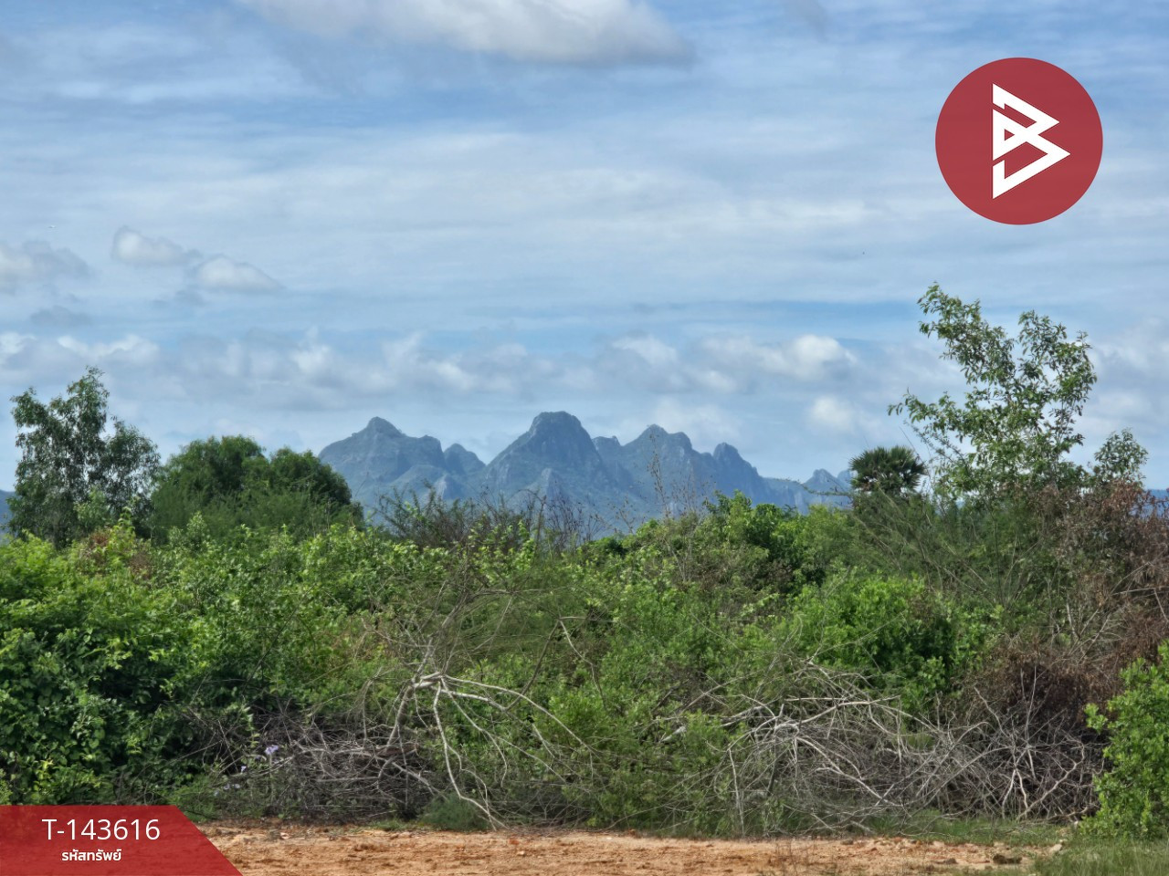 Large plot of land for sale, area 11 rai 69 square wah, Pranburi, Prachuap Khiri Khan, Khao Kheow view. Large plot of land for sale, area 11 rai 69 square wah, Pranburi, Prachuap Khiri Khan, Khao Kheow view.