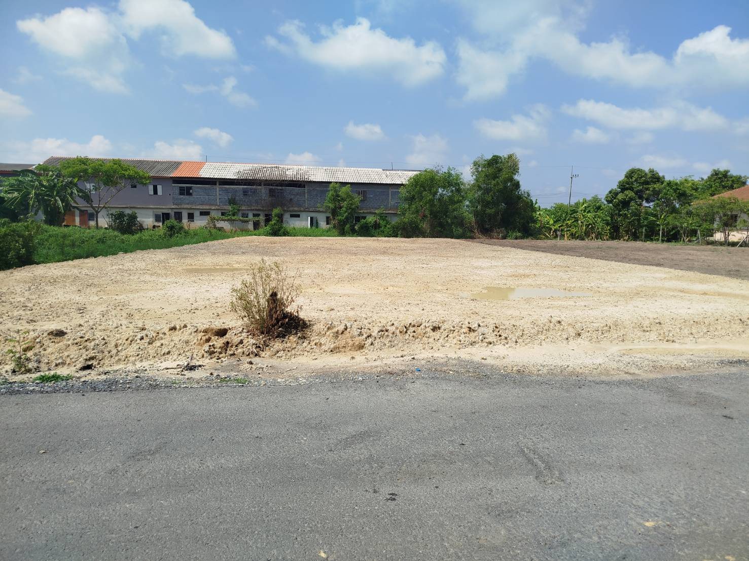 Land for sale and rent, Khlong Yong, near Suan Sunandha Rajabhat University. Nakhon Pathom Campus – รูปที่ 3