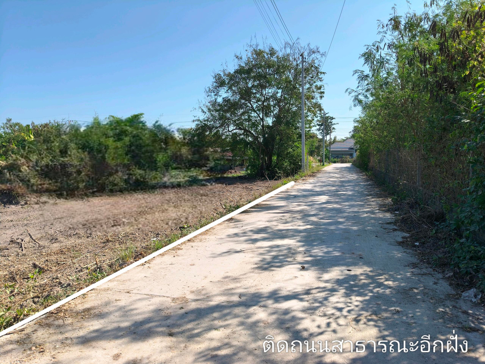 ขายที่ดินชลบุรี ติดถนนสาธารณะ2ด้าน เนื้อที่ 3 ไร่ อ.บ้านบึง ต.หนองบอนแดง เหมาะสร้างบ้าน โกดังสินค้า บริษัท หอพัก อพาร์ทเม้นท์ ขายที่ดินชลบุรี ติดถนนสาธารณะ2ด้าน เนื้อที่ 3 ไร่ อ.บ้านบึง ต.หนองบอนแดง เหมาะสร้างบ้าน โกดังสินค้า บริษัท หอพัก อพาร์ทเม้นท์