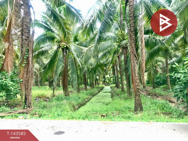 Land for sale, area 5 rai 66 sq m, Bang Khonthi, Samut Songkhram. – รูปที่ 4