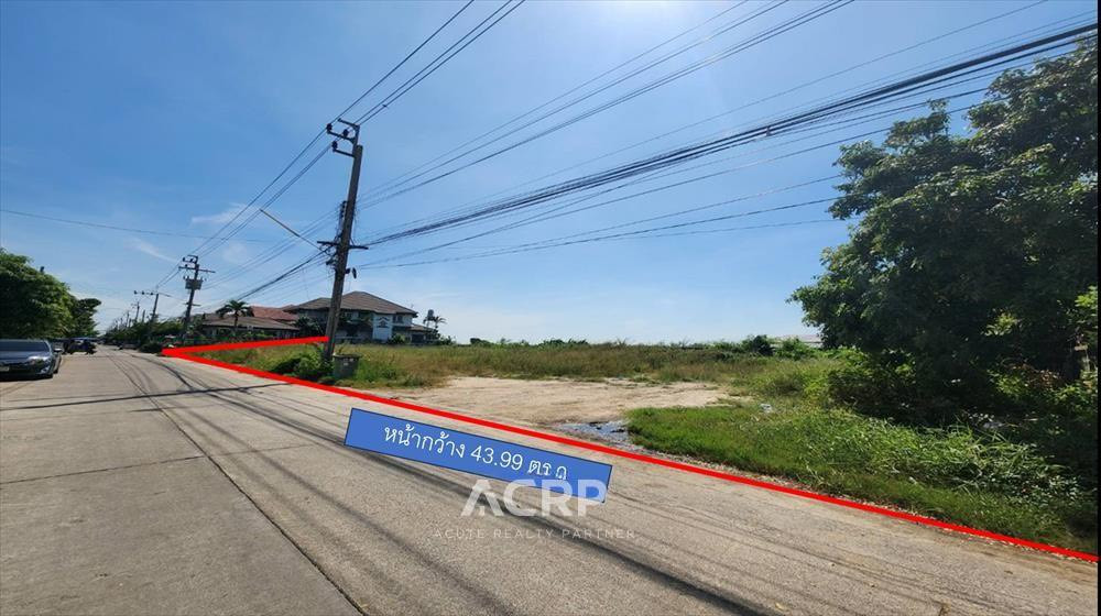 ขายที่ดินเปล่า ถมแล้ว หมู่บ้านวโรชา 5 บางบ่อ บางเพรียง เหมาะสร้างบ้าน – รูปที่ 2