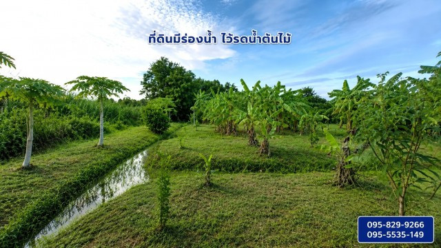 ขายที่ดินถมแล้ว 2-0-01ไร่ โครงการ Wellness City (เวลเนสซิตี้) เพื่อการพักวัยเกษียณ ใกล้ถนนปทุมธานี-สามโคก-เสนา (ทล.3111)อ.บางไทร จ.อยุธยา – รูปที่ 2