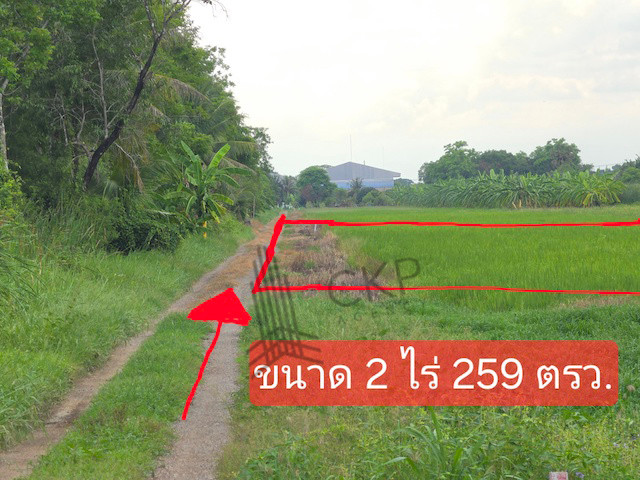 ขาย ที่ดินเปล่า ขนาด 2 ไร่ 259 ตร.วา เหมาะสำหรับทำการเกษตร ปลูกบ้านพักอาศัย โกดังจัดสรร | 93359 – รูปที่ 3