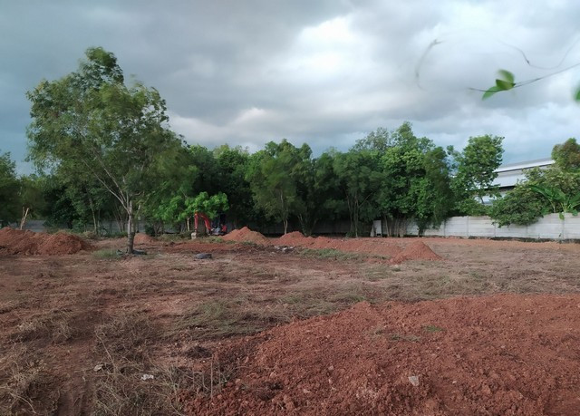 sss570 For Sale: 1 Rai (400 sq.wa) of leveled land, Soi Chatu Chot 4, Or Ngoen Subdistrict, Sai Mai District, Bangkok sss570 For Sale: 1 Rai (400 sq.wa) of leveled land, Soi Chatu Chot 4, Or Ngoen Subdistrict, Sai Mai District, Bangkok