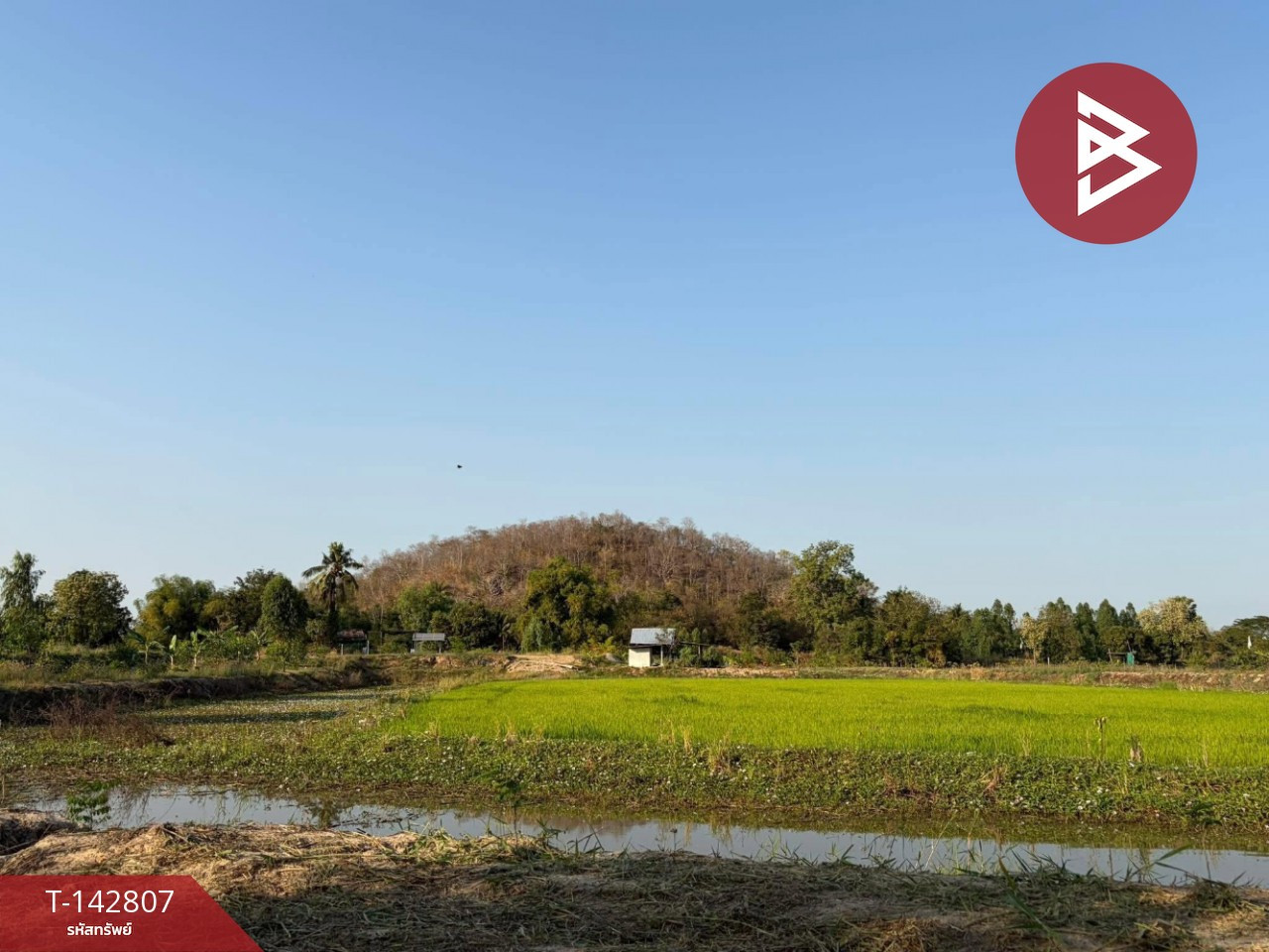 ขายที่ดิน เนื้อที่ 10 ไร่ ลาดยาว นครสวรรค์ – รูปที่ 2