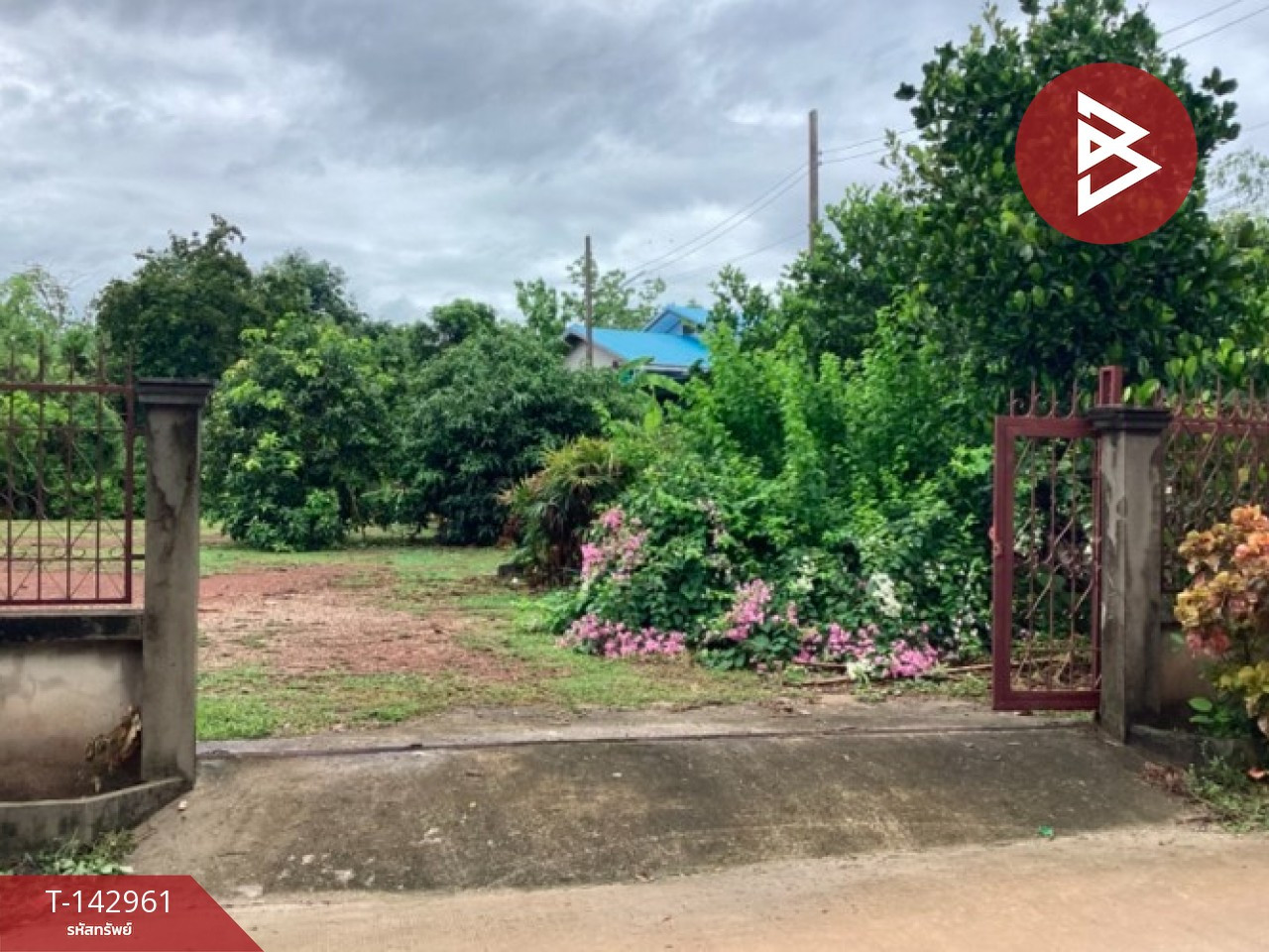 Land for sale, area 1 ngan 91 sq m, Ngio Ngam, Uttaradit. – รูปที่ 2