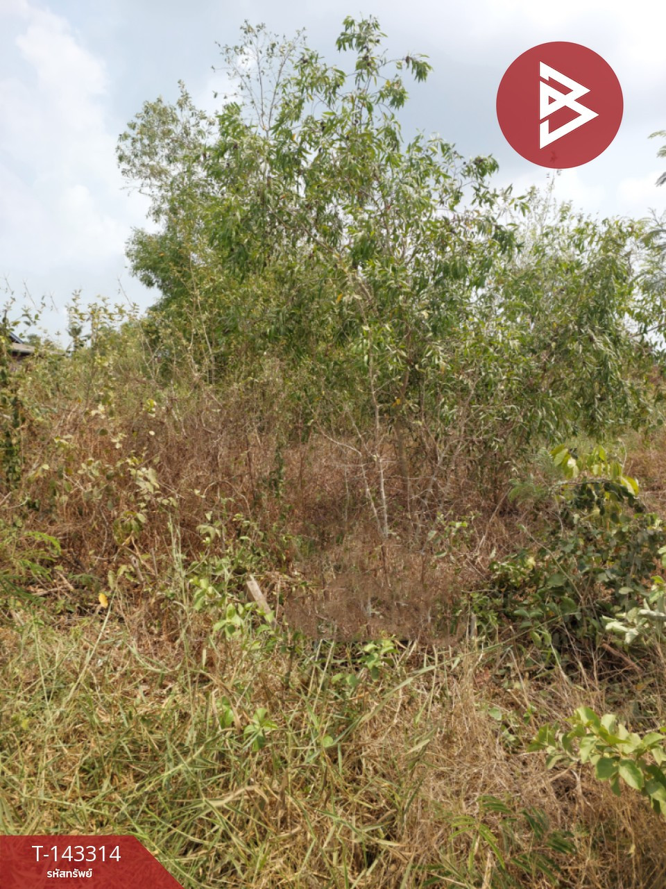 ขายที่ดิน เนื้อที่ 2 งาน 40 ตร.วา องครักษ์ นครนายก – รูปที่ 4