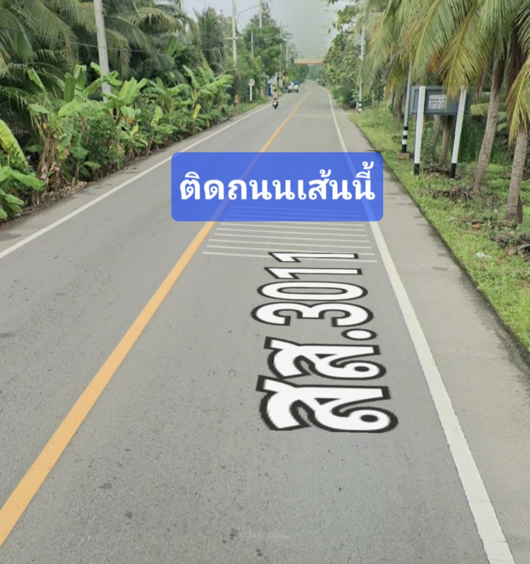 🌴ที่สวย ทำเลดี ขายถูก หน้ากว้าง💥ขายเหมา7ล้าน 5ไร่1งาน 💥ติดถนนทางไปตลาดน้ำท่าคา💥ใจดีคุยง่าย จบไว  089-8147024 – รูปที่ 3
