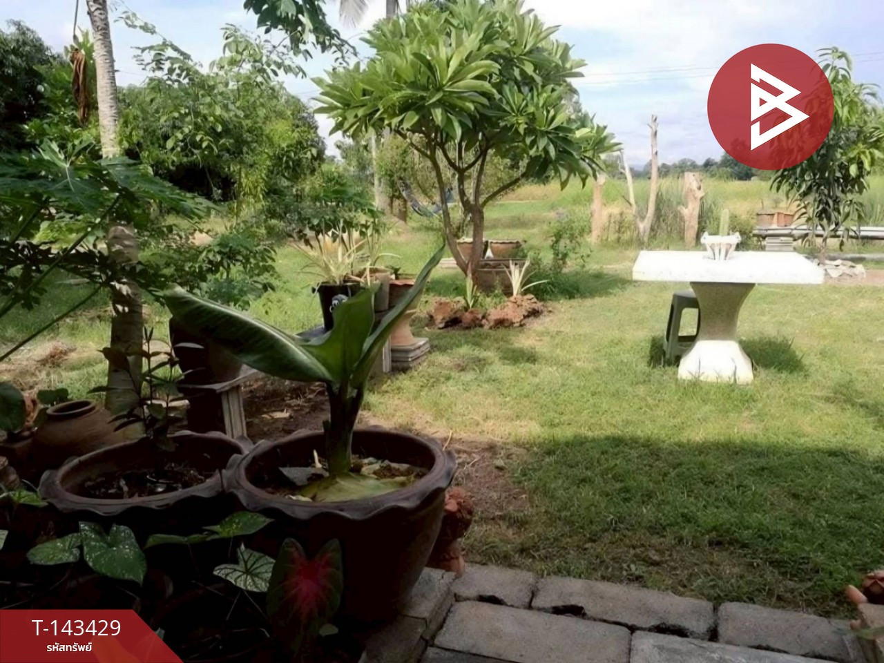 Land for sale, area 6 rai 2 ngan 1 sq m, Makham Sung, Phitsanulok – รูปที่ 2