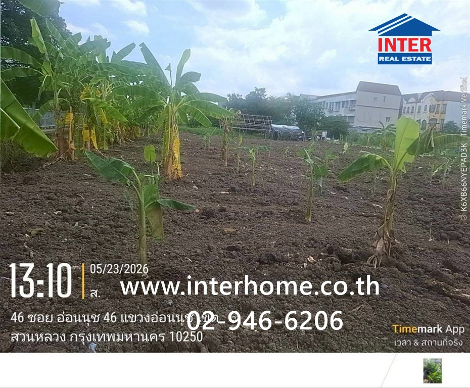 ที่ดินเปล่า 150 ตร.ว. ที่ดิน หมู่บ้านมิตรภาพ อ่อนนุช46 ซอยศรีนครินทร์36 ซอยอ่อนนุช46 ถนนอ่อนนุช ถนนศรีนครินทร์ เขตพระโขนง กรุงเทพมหานคร – รูปที่ 4
