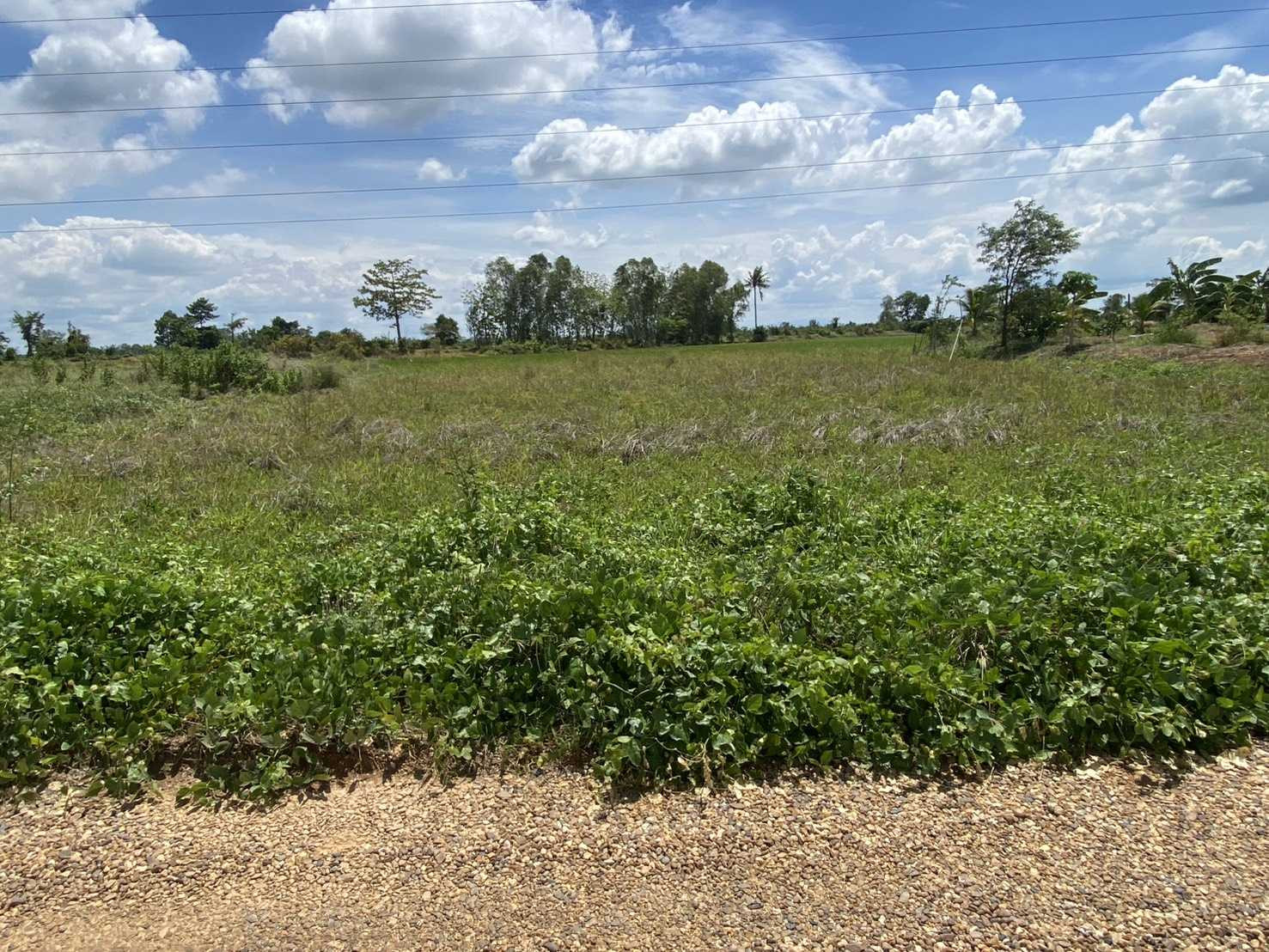 vacant land Land has been allocated. Ready to build a house – รูปที่ 4