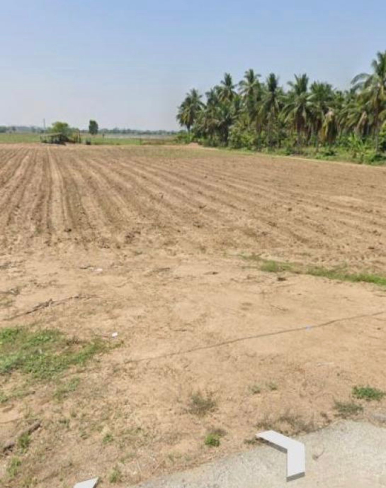 🔥📢🔊..Land for sale, Red Garuda title deed, very cheap, Khlong Khlung District. – รูปที่ 2