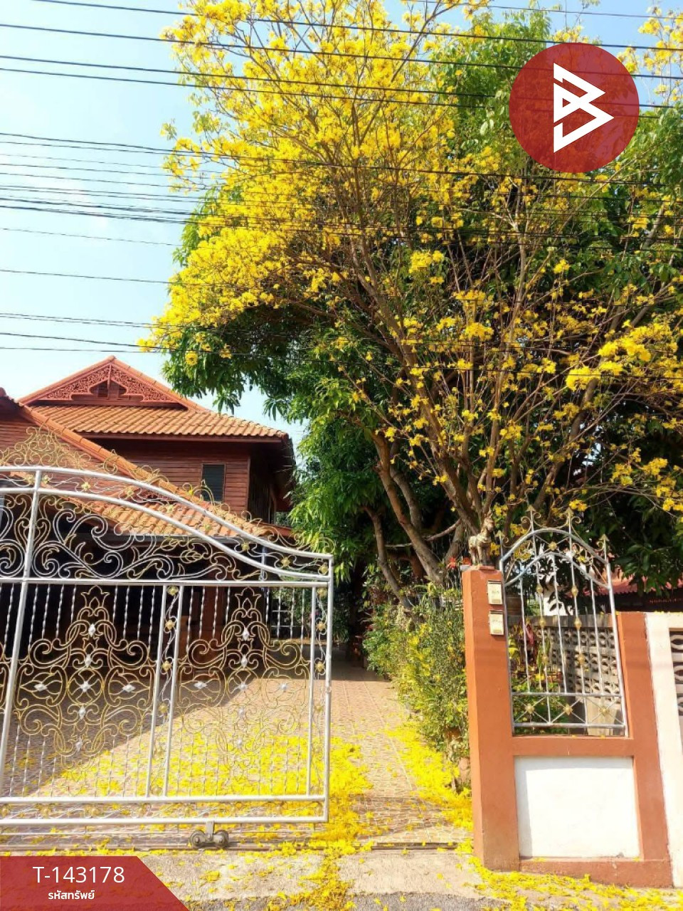 Single house for sale with land, area 1 ngan 80.9 sq m, Sung Men, Phrae. Single house for sale with land, area 1 ngan 80.9 sq m, Sung Men, Phrae.