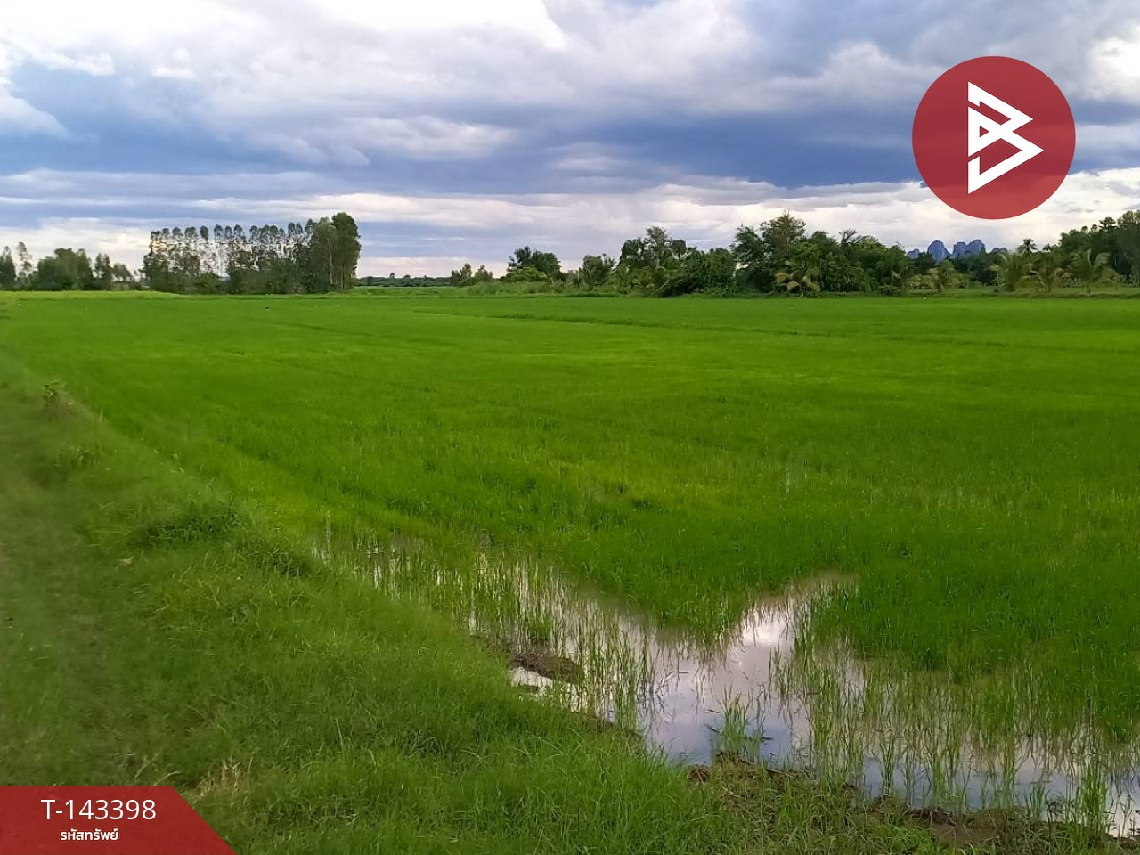 ขายที่ดิน เนื้อที่ 11 ไร่ 1 งาน 65 ตร.วา บรรพตพิสัย นครสวรรค์ – รูปที่ 3