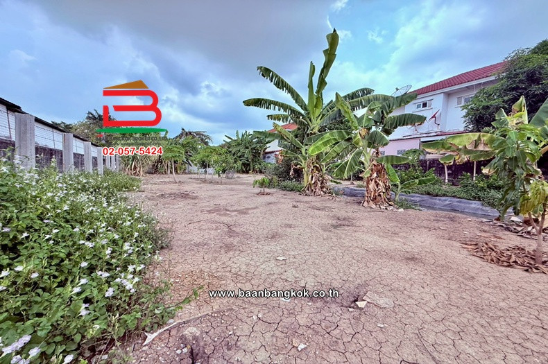 Empty land, area 147.7 sq m, Soi along Khlong Sam 5 (the alley next to Warapirom Khlong 3 Village), Lam Luk Ka Road, Lat Sawai Subdistrict, Lam Luk Ka District, Pathum Thani. – รูปที่ 4