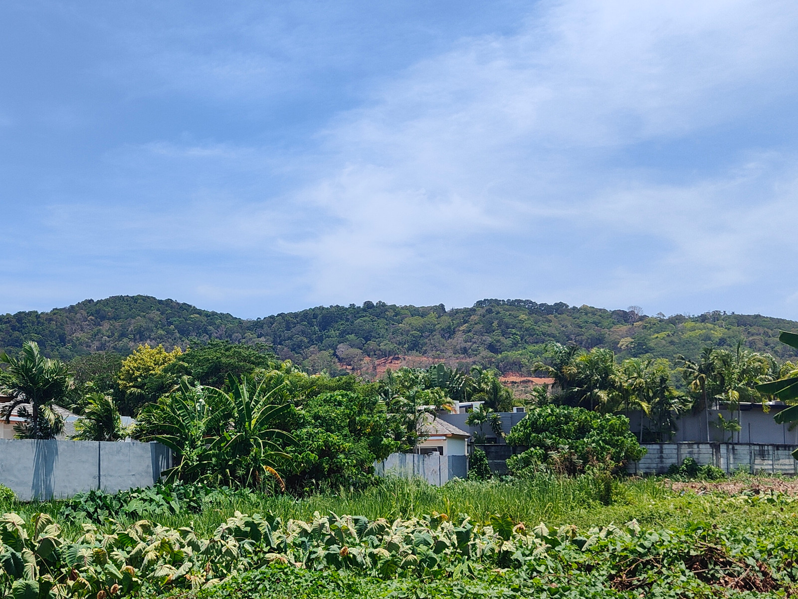 Land for sale in Rawai, Nai Harn Beach. Naya Road. Size: 1 rai. 47 million baht. Ideal for a pool villa project, a luxury vacation home. Excellent environment.