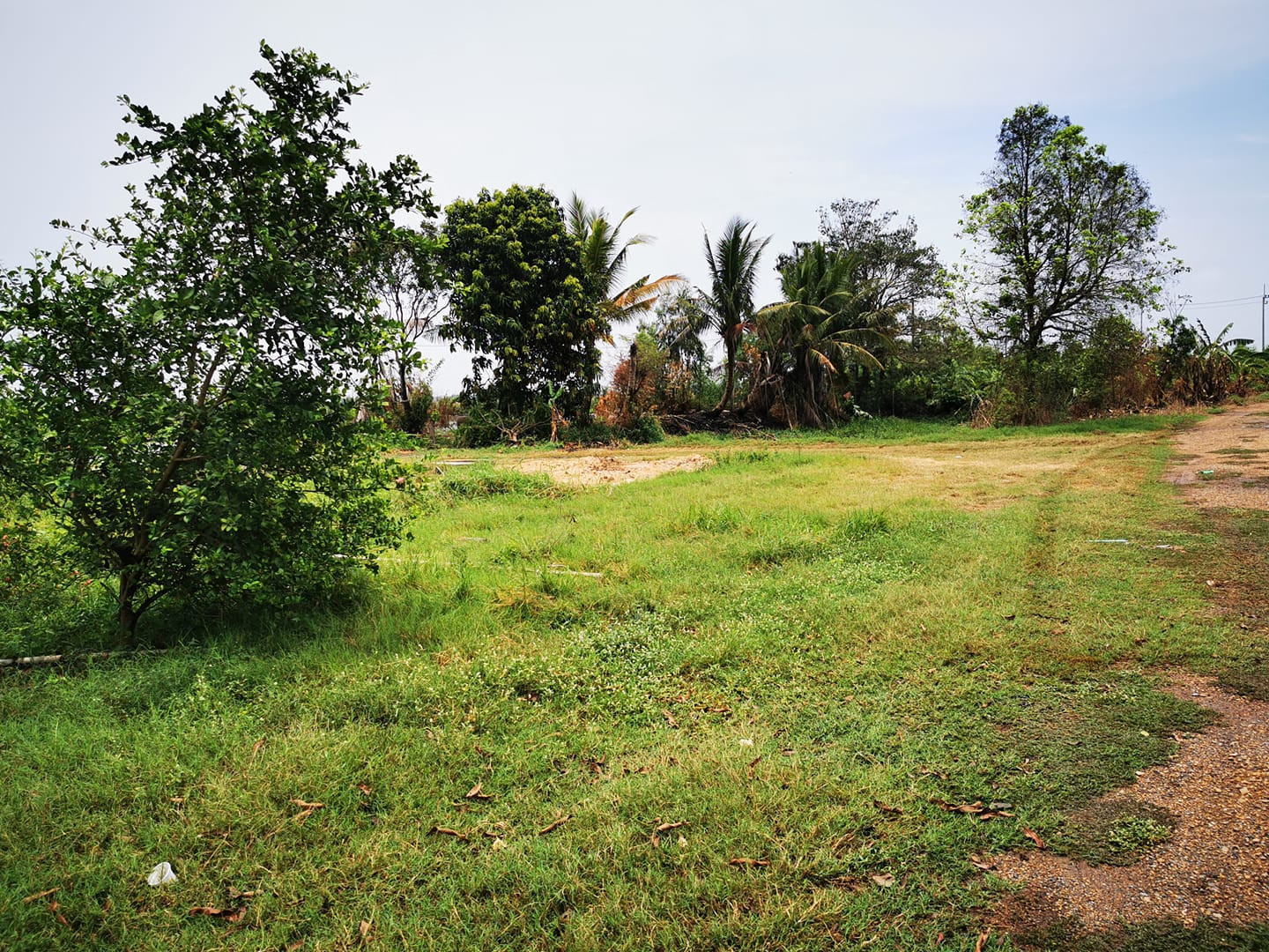 Land for sale, over 5 rai, beautiful canal view, cool breeze all day. Large plot of land ready for development  The waterfront life that many people are searching for Its right here. 5 Chinese characters will show you the best of the best. – รูปที่ 3