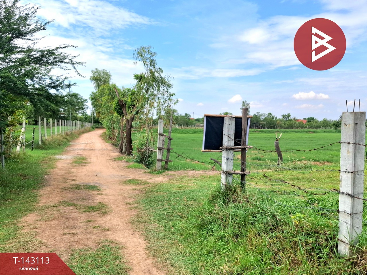 ขายบ้านเดี่ยวพร้อมที่ดิน เนื้อที่ 2 ไร่ 5.6 ตร.วา บ้านน้ำอ้อม เกษตรวิสัย ร้อยเอ็ด – รูปที่ 2
