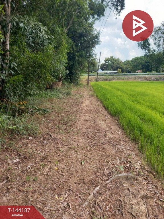 ขายที่ดิน เนื้อที่ 3 ไร่ ต.ดงละคร นครนายก – รูปที่ 4