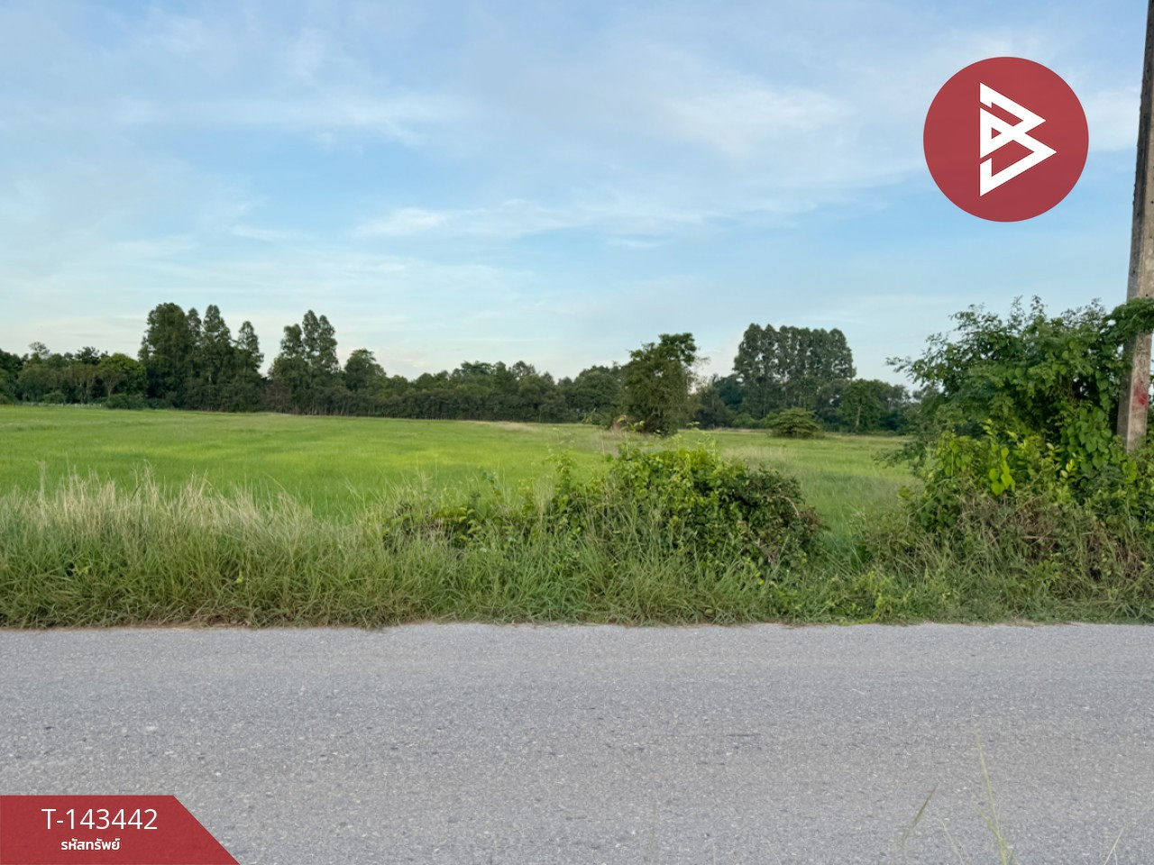 Land for sale, area 5 rai, Ban Pho, Chachoengsao. – รูปที่ 4