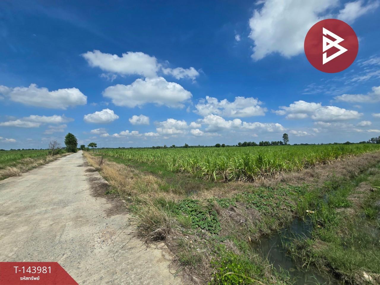 ขายที่ดิน เนื้อที่ 20 ไร่ 3 งาน 62 ตร.วา แสวงหา อ่างทอง – รูปที่ 4