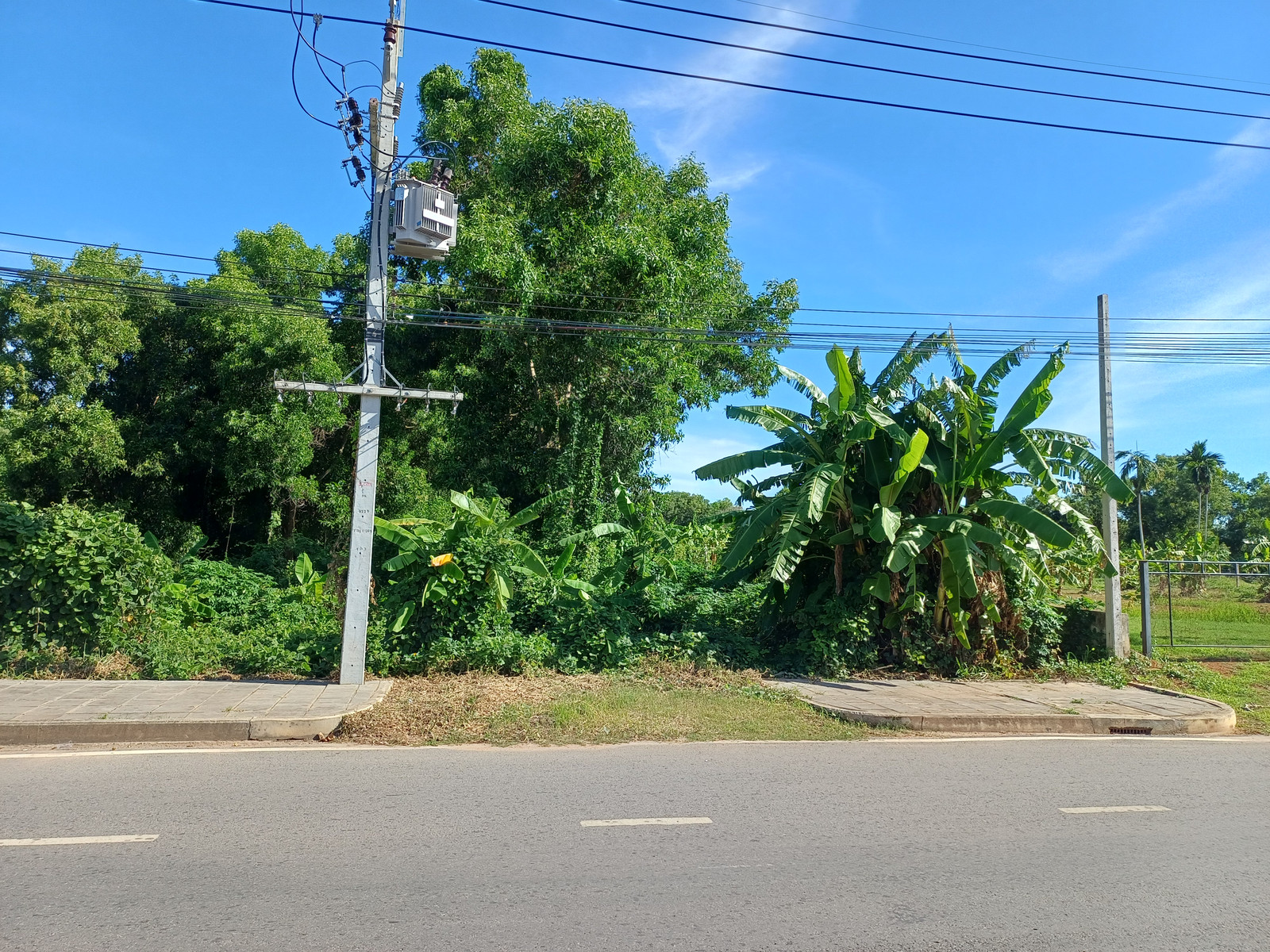 Land area 3 rai 81 sq m, near BB Kup Kek and Pad Thai Khun Krai, Klaeng-Kram Road, price 19 million baht. – รูปที่ 4