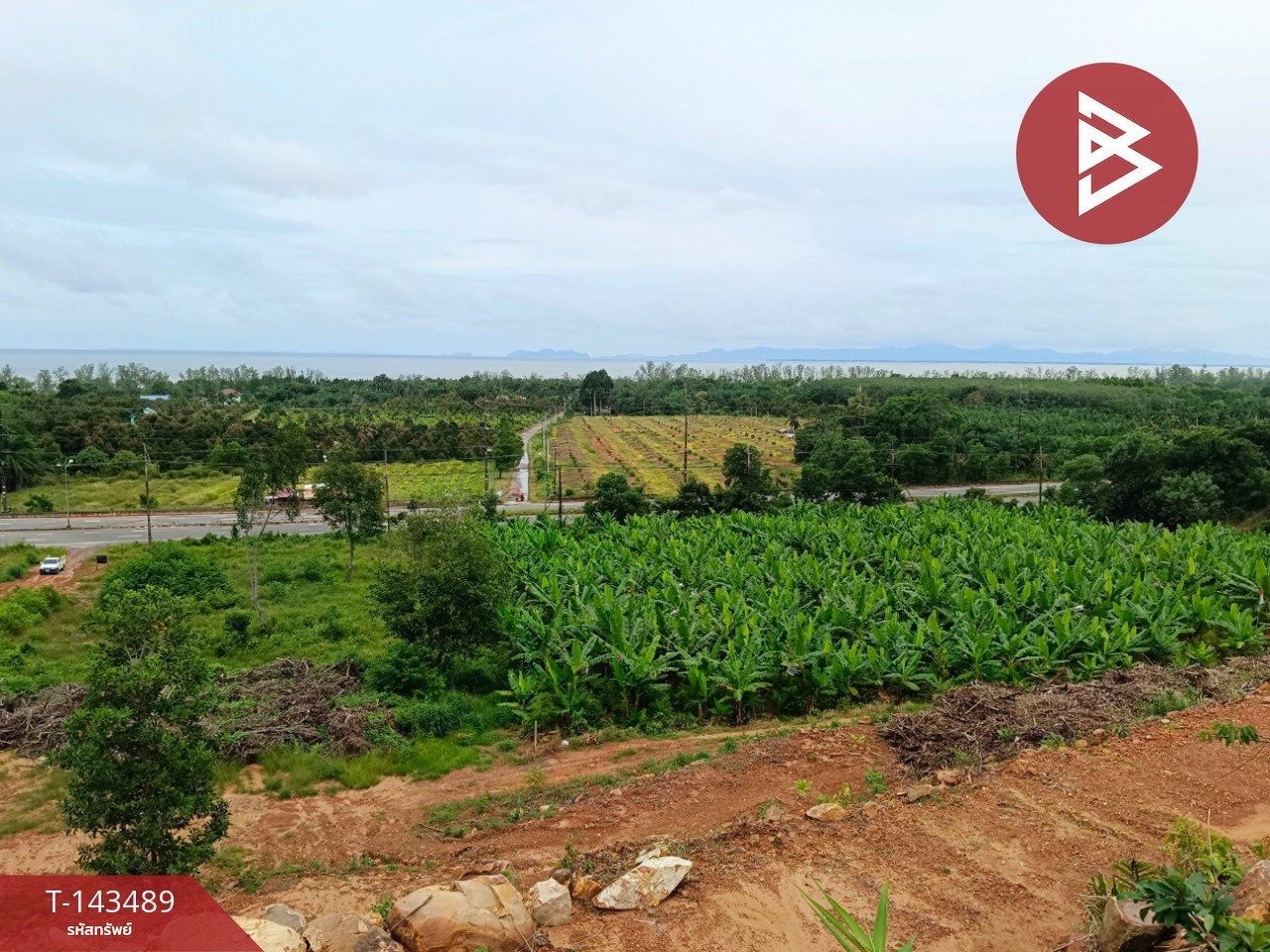 ขายที่ดิน เนื้อที่ 9 ไร่ 2 งาน 87 ตร.วา แหลมกลัด ตราด – รูปที่ 4