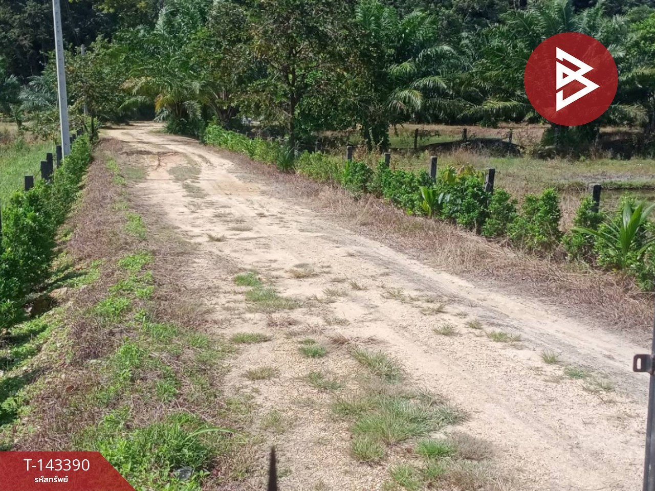 Land for sale, area 4 rai 72 sq m, Koh Lanta, Krabi. – รูปที่ 3