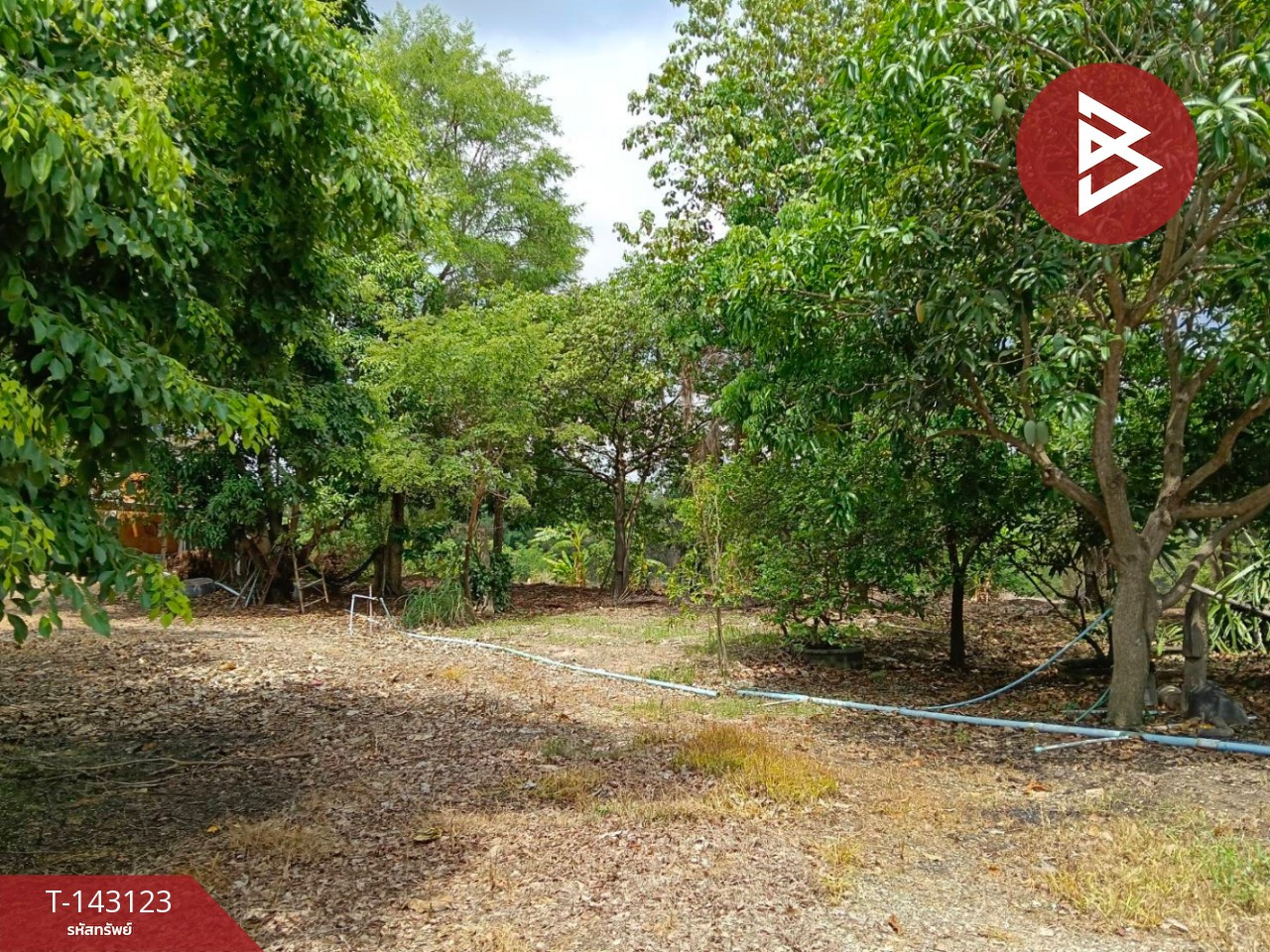 Land for sale, area 41 rai 8 sq m, Bang Rakam, Phitsanulok – รูปที่ 4
